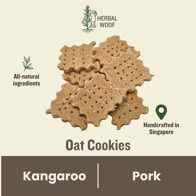 Oat Cookie Treats