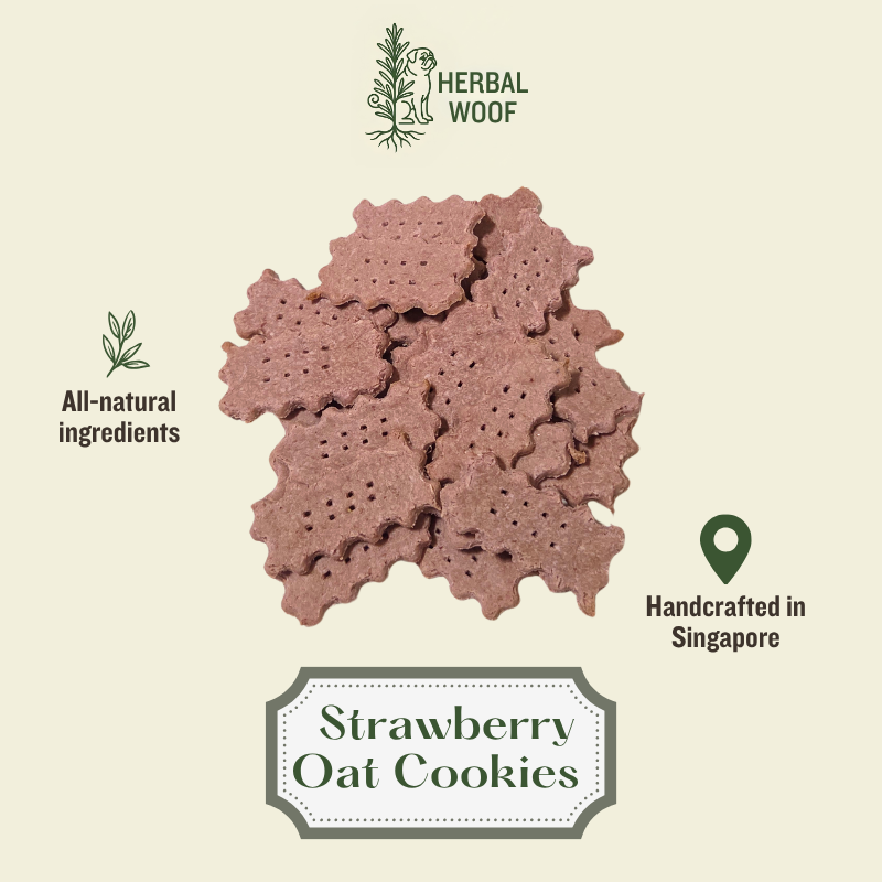 Meat-free Oat Cookies